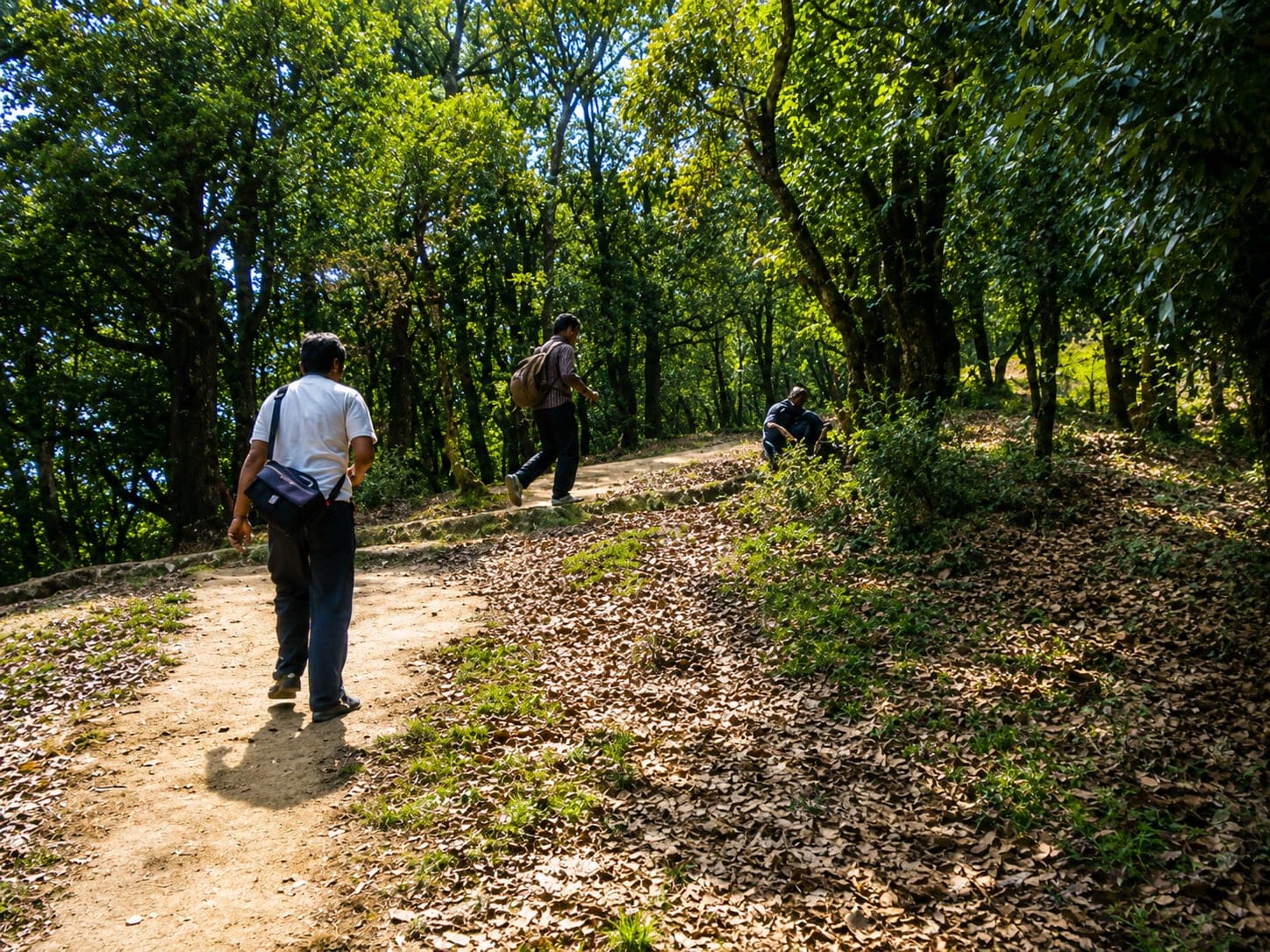 Trekkers on the Musk Deer Sanctuary trail near Chaukori