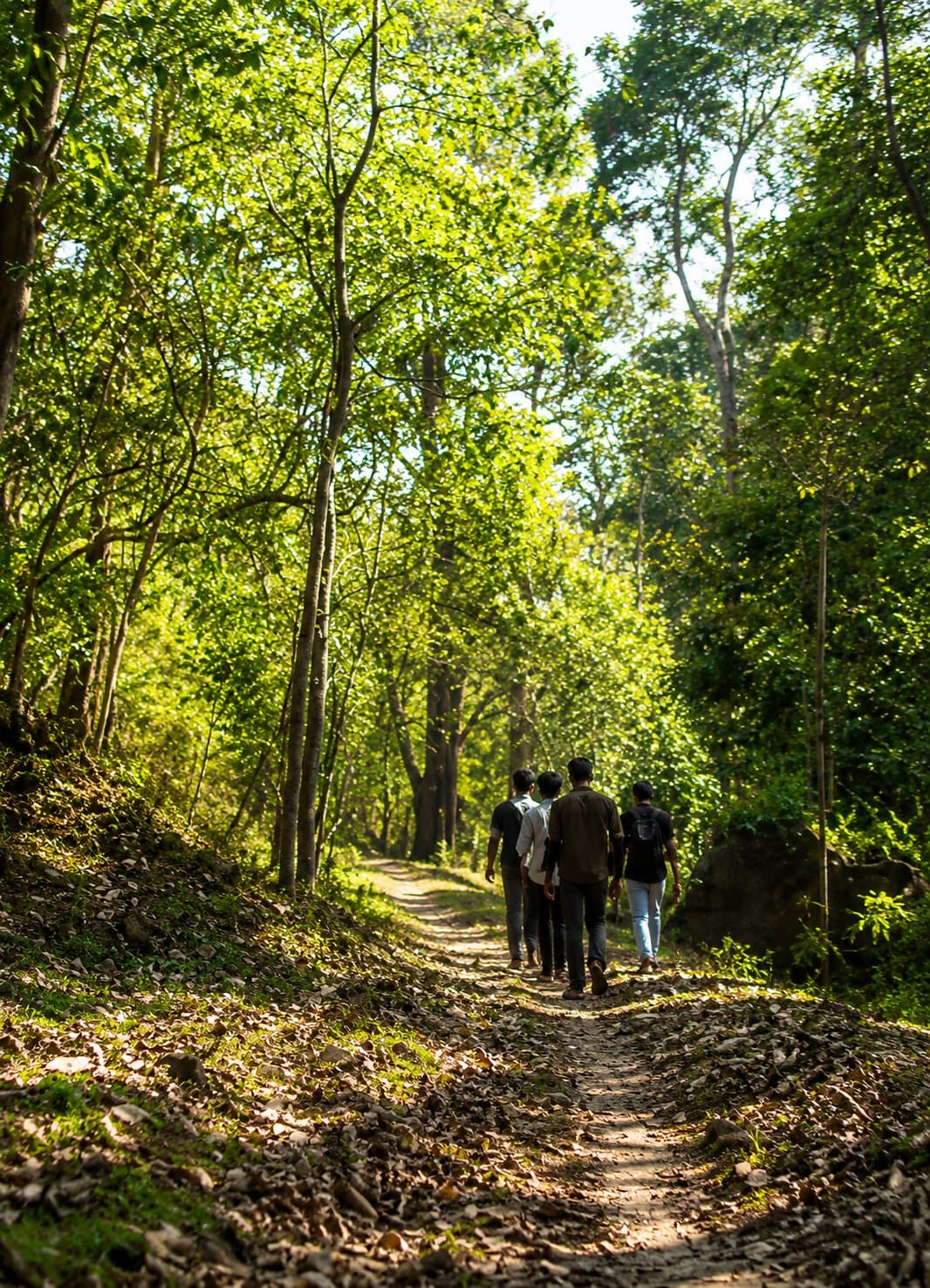 A guided jungle walk on a forest trail in Corbett