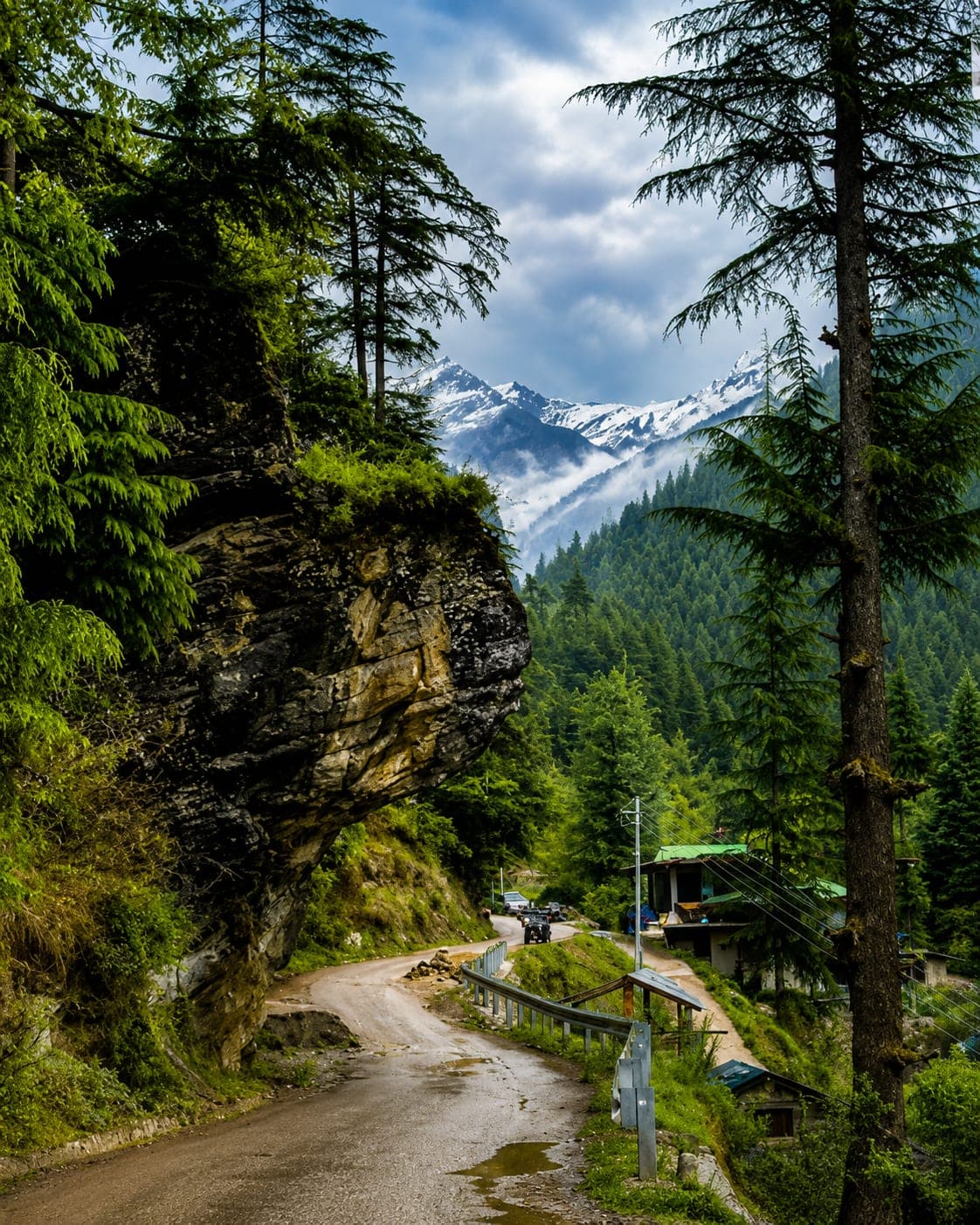 A quiet forest road near Manali