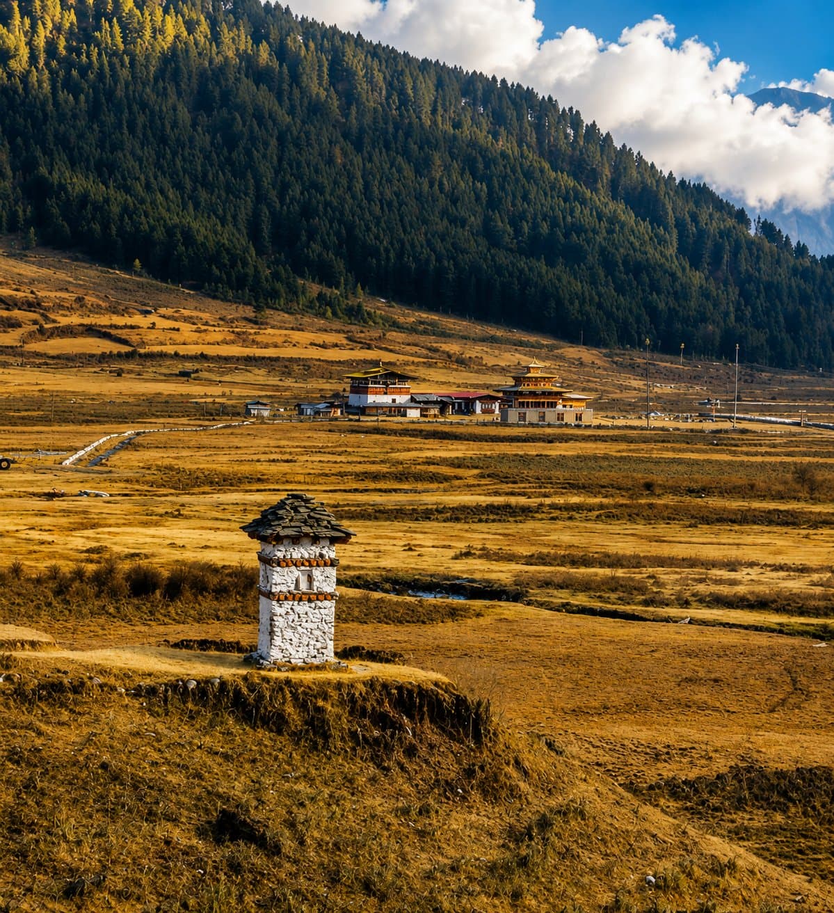 Gangtey Monastery overlooking Phobjikha Valley, Bhutan